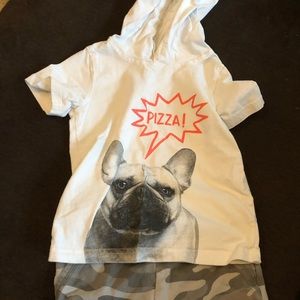 Hooded tee shirt and shorts